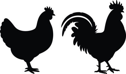 Hen and rooster silhouettes, poultry identification, farm animal comparison, black bird shapes, comb and tail features, isolated white background, educational reference