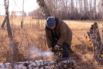 cordless chainsaw.  Close-up of  lumberjack sawing through  tree, sawdust flying everywhere.  lumberjack chops and splits large tree trunks and firewood.