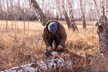 cordless chainsaw.  Close-up of  lumberjack sawing through  tree, sawdust flying everywhere.  lumberjack chops and splits large tree trunks and firewood.