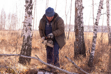 cordless chainsaw.  Close-up of  lumberjack sawing through  tree, sawdust flying everywhere.  lumberjack chops and splits large tree trunks and firewood.