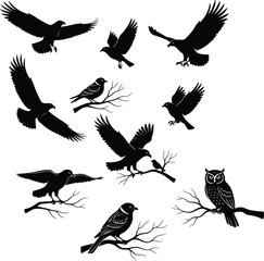 Bird silhouettes, flying birds, perched birds, owl on branch, black shapes, wing positions, nature illustration, avian anatomy, minimalist wildlife, artistic design