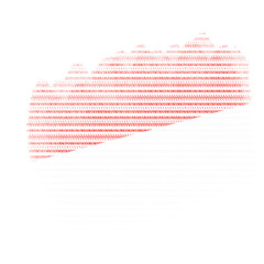 Indonesian Brush Flag Texture