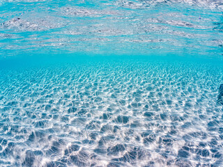 嘉比島の白砂ビーチの半水面撮影。観光客やパラソル、テントが見える。美しいサンゴ礁と熱帯魚の群れ。 安室島沖縄県 島尻郡慶良間諸島座間味島-2025 サンゴの産卵があり卵が漂う。沖縄本島から40km西方の諸島。30以上の島嶼群全体が国立公園に指定。珊瑚礁の青い海と白い砂浜は世界屈指の美。貴重な動植物が多数生息。 