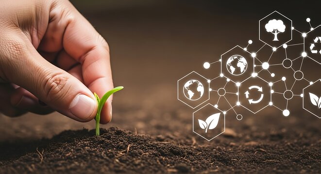 Nurturing a seedling in fertile soil, symbolizing growth and sustainability through interconnected environmental icons and a human hand