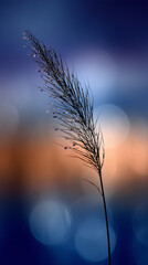 tall grass at sunset in the field bokeh blue neutral blurry background unfocused backdrop mobile vertical format wallpaper