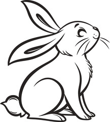 black and white rabbit