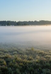 Fototapeta premium Dense morning mist gently embraces the tranquil landscape, creating a cool, clean, and invigorating atmosphere. Nature's refreshing embrace ,peaceful ,forest ,vapor