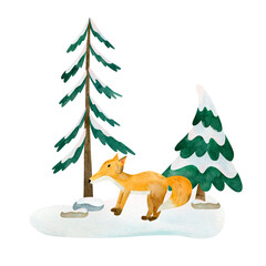Composition cute fox and pine tree. Isolated hand drawn watercolor illustration of winter animal. For design baby shower, cards, posters, kid's rooms.