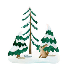 Composition cute rabbit and pine tree. Isolated hand drawn watercolor illustration of winter animal. For design baby shower, cards, posters, kid's rooms.
