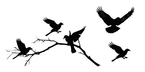 Silhouette of birds on a branch