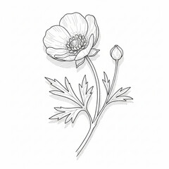 vector illustration of a flower