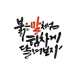 2026년 병오년 새해복 많이 받으세요