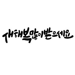 2026년 병오년 새해복 많이 받으세요