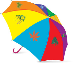 colorful umbrella isolated on white