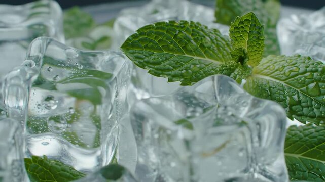Close-up of ice cubes and fresh green mint leaves, cold and refreshing