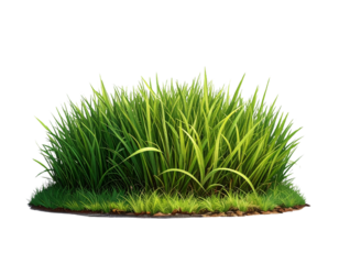 Realistic Green Grass Patch, Front View, Nature and Lawn Design Element, Isolated on Transparent Background