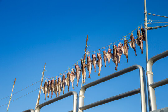 &nbsp;Cod from the fishing village