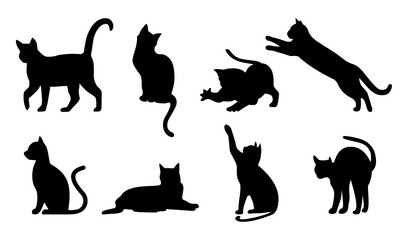 Set of cats silhouettes vector icon Various cats in different poses. Flat vector illustration design isolated on white background.
