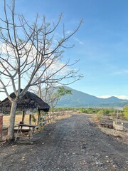 padang savana an mount agung at bali