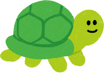 turtle