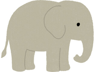 elephant isolated on white background