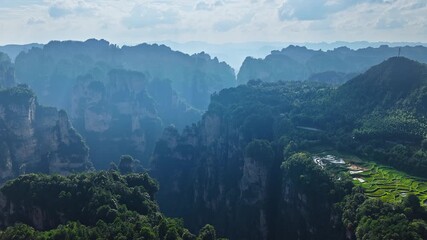 Majestic Zhangjiajie national forest park: towering sandstone pillars emerging from lush green forest, Wulingyuan Scenic Area, Hunan Province, China. - Powered by Adobe