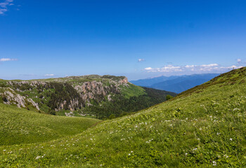 High-altitude meadows with flowers and green vegetation during the summer and autumn seasons