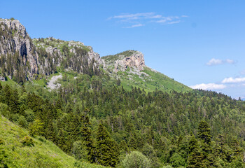 High-altitude meadows with flowers and green vegetation during the summer and autumn seasons