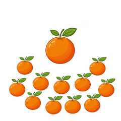 Fresh Citrus Oranges Group Vector Concept