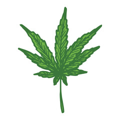 Hand drawn cannabis leaf Medicine marijuana Hemp leaves clipart in doodle style Single element for print, web, design, decor