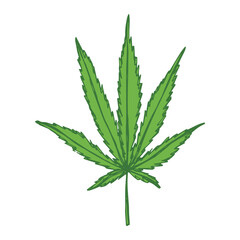 Hand drawn cannabis leaf Medicine marijuana Hemp leaves clipart in doodle style Single element for print, web, design, decor
