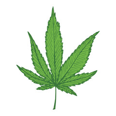 Hand drawn cannabis leaf Medicine marijuana Hemp leaves clipart in doodle style Single element for print, web, design, decor