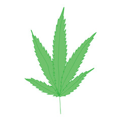 Hand drawn cannabis leaf Medicine marijuana Hemp leaves clipart in doodle style Single element for print, web, design, decor
