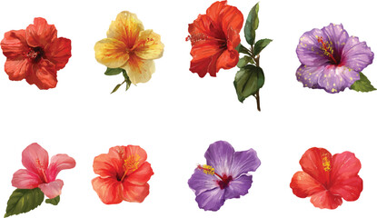collection of flowers