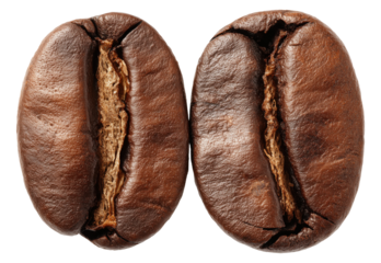 Two roasted coffee beans showing detailed texture, isolated on transparent background