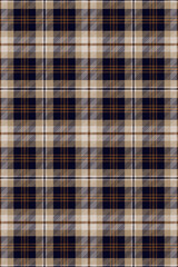 Tartan seamless pattern diagonal stripes classic.Plaid Scottish lattice cross line warm color.Geometric checkered warp weft traditional vector illustration. For fabric,clothes,skirts,blanket,decorate.