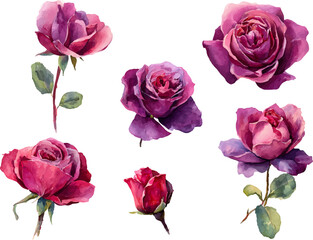 Fototapeta premium bouquet of pink roses