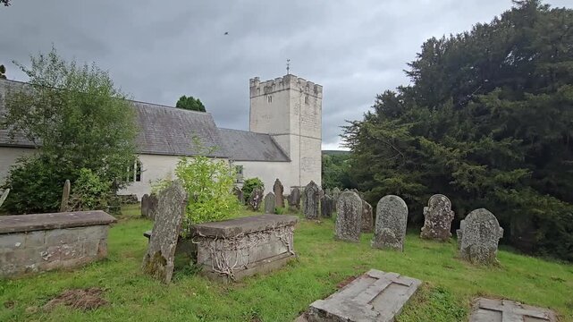 Ancient yew tree (Taxus baccata) in St. Cynog churchyard, Defynnog, near Sennybridge, Brecon, Wales, UK. Estimated 3000 years old, 11m girth. Slow pan from church to tree.