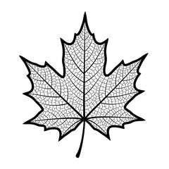 Monochrome black graphic design of a maple leaf with detailed white line art for the veins.