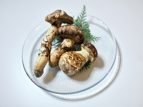 松茸 秋 背景AI生成-Matsutake mushroom / autumn / Background Generated-