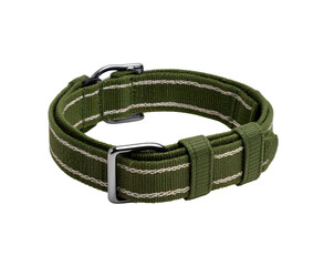 Green fabric dog collar with metal buckle on transparent background