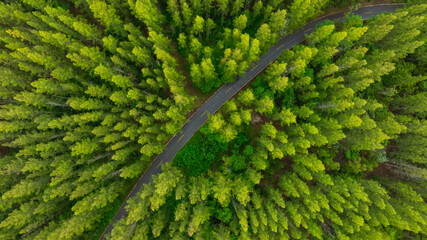 Aerial view of dark green forest road and white electric car Natural landscape and elevated roads Adventure travel and transportation and environmental protection concept	