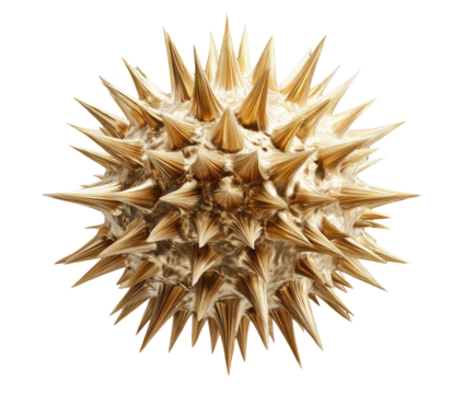 Beige sphere covered in sharp, tan colored spikes against a black background. Close-up view