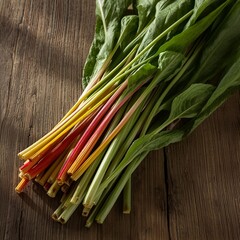 Modern Organic Elegance