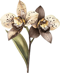 Elegant Watercolor Speckled Orchids © rey