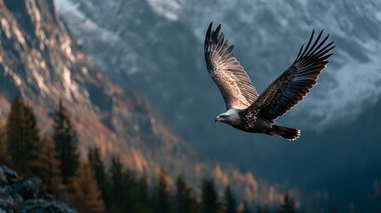 Majestic eagle with outstretched wings soars gracefully over a misty mountain range with autumn tr