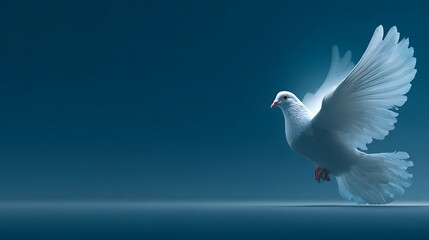 Fototapeta premium Graceful white dove in flight. symbol of peace and hope. against a soft blue gradient background.