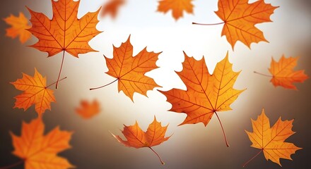 Fototapeta premium Autumn Maple Leaves Falling in Warm Soft Light for Seasonal and Nature Marketing