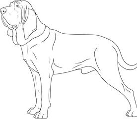 OUTLINE SILHOUETTE DOG FOR COLORING PAGE