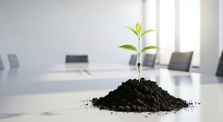 Seedling Growth on Conference Table - Business Growth Concept
